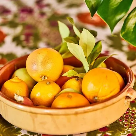 Prázdninový dům Casa